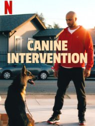 Canine Intervention French Stream