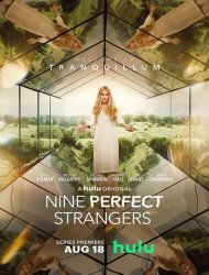Nine Perfect Strangers French Stream