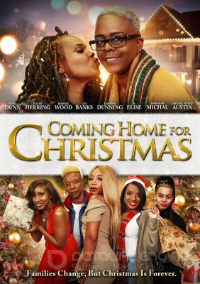 Coming Home for Christmas Streaming VF VOSTFR