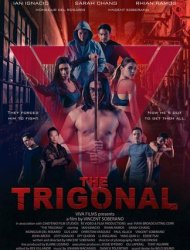The Trigonal: Fight for Justice Streaming VF VOSTFR